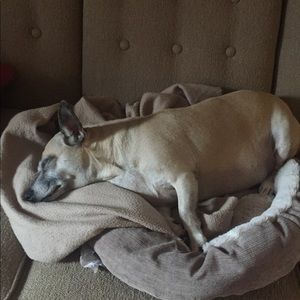 Meet your Posher, Pat